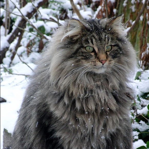 Profile Picture of Ruby Hesseltine (@rubymh1234) on Poshmark