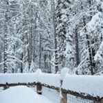 Profile Picture of Audrey Noland (@noland.photography) on Instagram