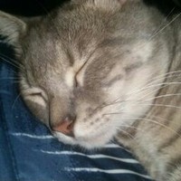 Profile Picture of Jake Savoy (@jake-savoy-4) on Quora