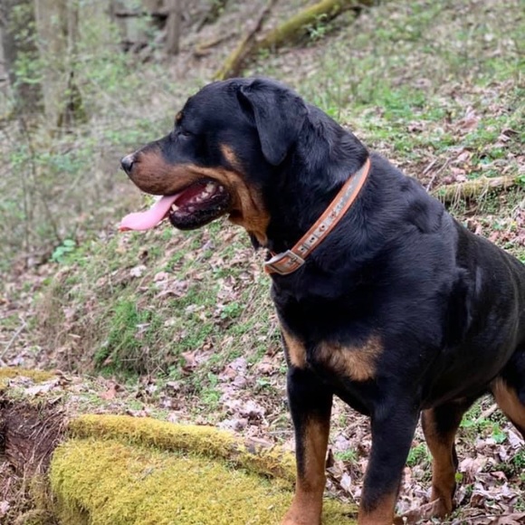 Profile Picture of Ava Kennedy (@avakennedy612) on Poshmark