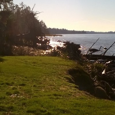 Profile Picture of Michele Coffey (@michelecoffey22) on Twitter