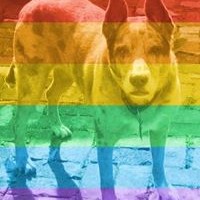 Profile Picture of Simon Lang (@simon-lang-5) on Quora