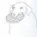 Profile Picture of Trevor Olson (@trevorwillolson) on Pinterest