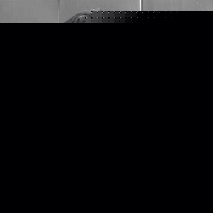 Profile Picture of Konrad Michalak (@someoneofvalue) on Myspace