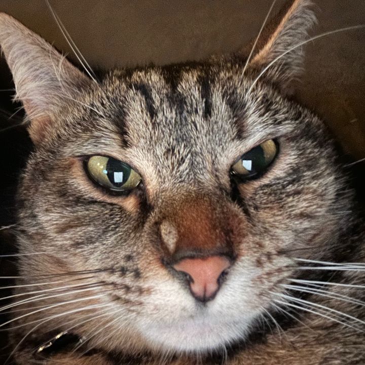 Profile Picture of 💩 (@kimlundd) on Tiktok