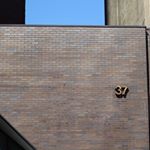 Profile Picture of T R O Y | S H A F F E R (@tjshaffe) on Instagram