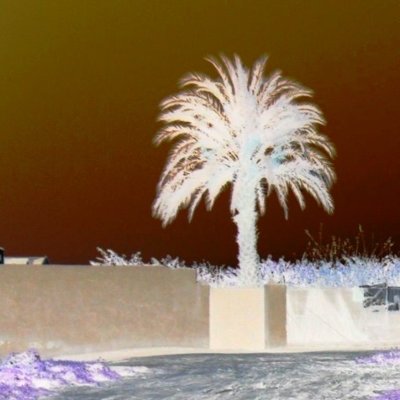 Profile Picture of Amelia Fuentes (@AmeliaF93119271) on Twitter