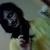 Profile Picture of Ayesha Shamim (@248948000) on Myspace