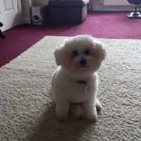 Karen Bainbridge Tinkler - Quora Profile Picture of Karen Bainbridge Tinkler (@karen-bainbridge-tinkler) on Quora