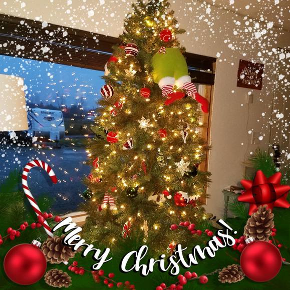 Profile Picture of Darlene Wasicki (@dwasicki) on Poshmark