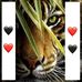 Profile Picture of Arshad Sharif (@arshad.shahibaloch) on Facebook