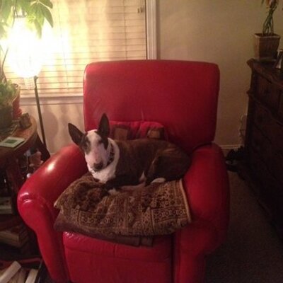 Profile Picture of Ted Neal (@@TedJNeal) on Twitter