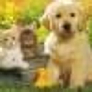 Profile Picture of Ana Tomas (@208943554) on Myspace