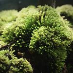 Profile Picture of David (@david_racker) on Instagram