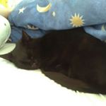 Profile Picture of Crystal Summer (@crystal.summer.33483) on Instagram