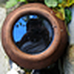 Profile Picture of Julio Garcia (@duendecillo) on Flickr