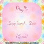 Profile Picture of Phyllis Pfeifer (@phyllis.pfeifer.1) on Facebook