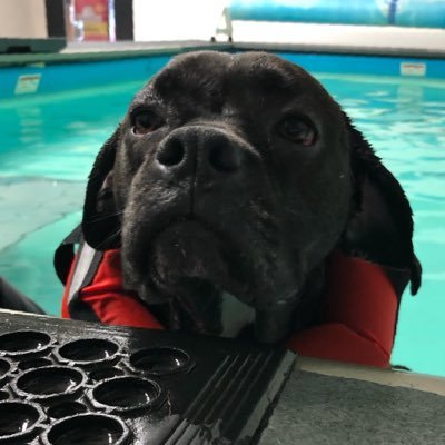 Profile Picture of Luke Tegtman (@LukeTegtman45) on Twitter