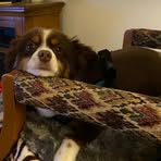 Profile Picture of Loretta Mier (@Loretta-Mier) on Facebook