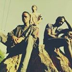 Profile Picture of Joe Malikh (@joemalikh) on Instagram