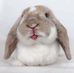 Profile Picture of Joseph Melchor (@joseph.melchor.524) on Facebook