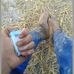 Profile Picture of Adnan Mohamad (@adnan.mohamad.165470) on Facebook