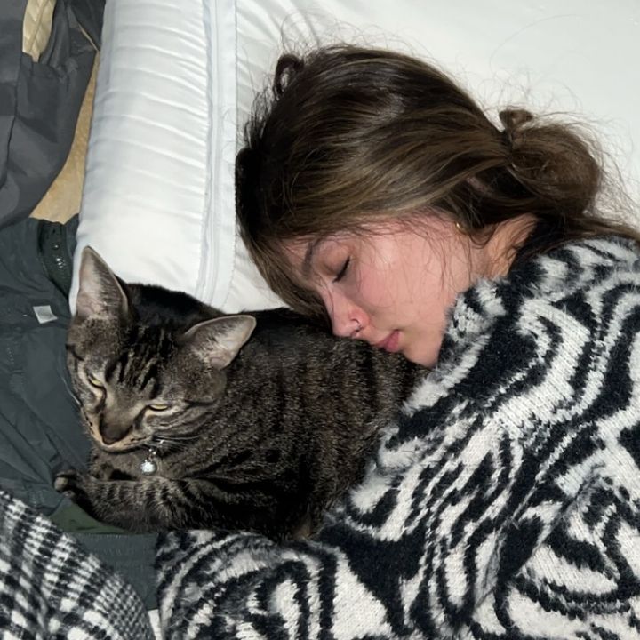 Profile Picture of matthew Bergeron (@matthewbergeron3) on Tiktok