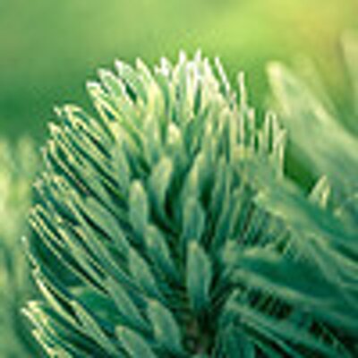 Profile Picture of Janet Witherspoon (@JanetWitherspoo) on Twitter