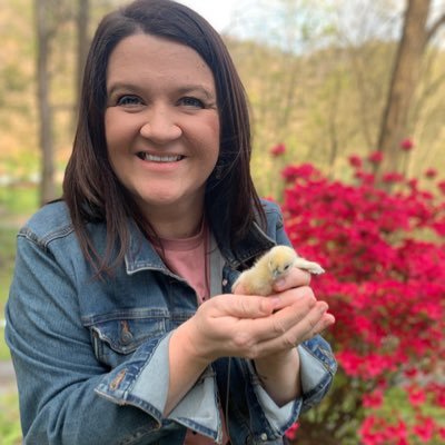 Profile Picture of Angela Lester (@AngelaL27950736) on Twitter