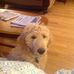 Profile Picture of Kim Maguire (@kim.maguire.752) on Facebook