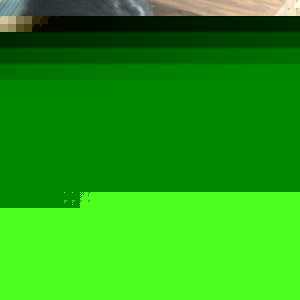 Profile Picture of Lovy Duvy (@l0viid0uvii) on Myspace