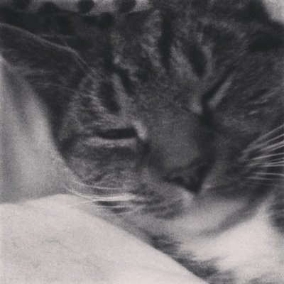 LOL - Twitter Profile Picture of LOL (@JessMilks99) on Twitter