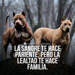 Profile Picture of Leo Padron (@leo.padron.98) on Instagram