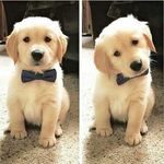 Profile Picture of Petra Lezama (@petra.lezama) on Instagram