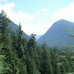 Profile Picture of Jason Biermann (@j8son1455) on Instagram