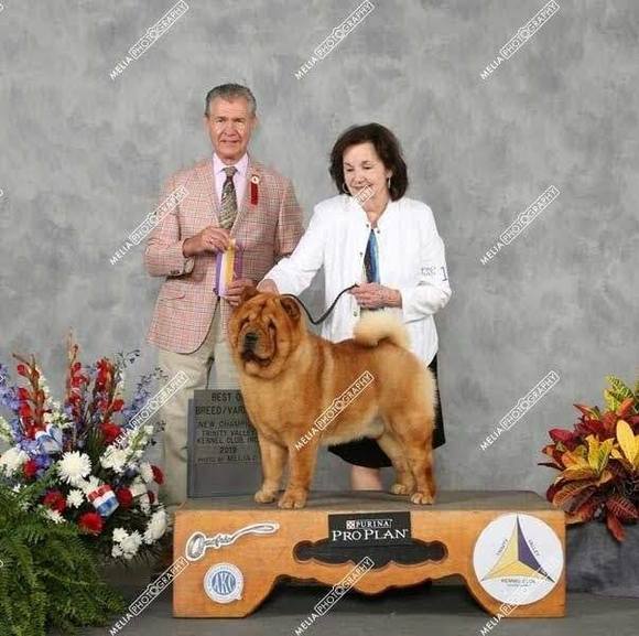 Profile Picture of Doris Ross (@chowsix) on Poshmark