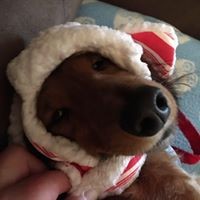 Profile Picture of Ann Wade (@ann-wade-10) on Quora