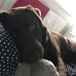 Montegillespie - Instagram Profile Picture of Montegillespie (@monte_gillespie) on Instagram