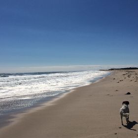 Profile Picture of Lisa Hoberg (@hoberglisa) on Pinterest