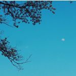 Profile Picture of prasamsha (@prasamshakarke) on Instagram