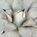 Profile Picture of Kyle Zimmerman (@gokyle) on Flickr