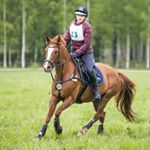 Profile Picture of Paula Laitinen (@teamcadeau) on Instagram