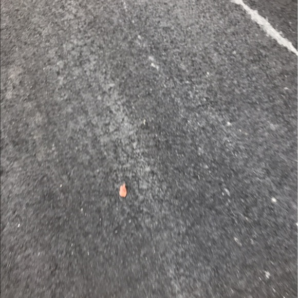 Profile Picture of Lisa Knapp (@turtlefun21) on Poshmark