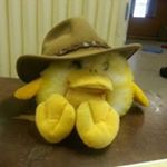 Graham Rupert - Instagram Profile Picture of Graham Rupert (@grahamrupert) on Instagram