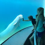 Profile Picture of jacobturgeon (@jaketurgeon06) on Instagram