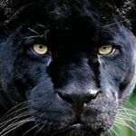 jaime de anda - Instagram Profile Picture of jaime de anda (@anda.jaimede) on Instagram