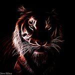 Profile Picture of aaron bowens (@martin341981) on Instagram