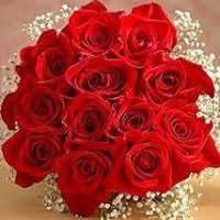 Profile Picture of Jamal Masad Melhem (@jamal-masad-melhem) on Quora