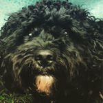 Profile Picture of ABBEY  Duncan (@abbey_unicorn_duncan) on Instagram