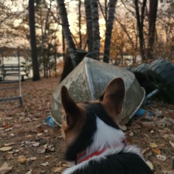 Rainie Tufty - Poshmark Profile Picture of Rainie Tufty (@rainieflury) on Poshmark